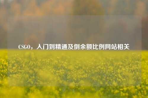 CSGO,入门到精通及倒余额比例网站相关