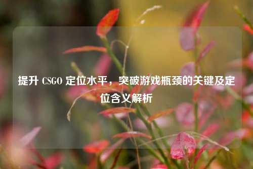 提升 CSGO 定位水平，突破游戏瓶颈的关键及定位含义解析