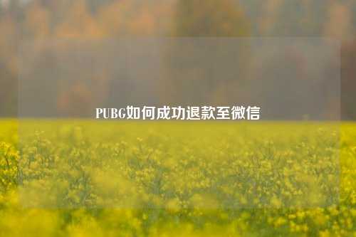 PUBG如何成功退款至微信