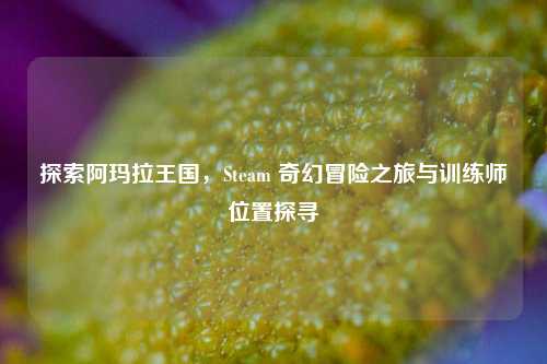 探索阿玛拉王国，Steam 奇幻冒险之旅与训练师位置探寻