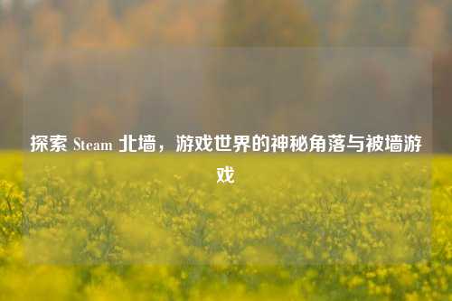 探索 Steam 北墙,游戏世界的神秘角落与被墙游戏