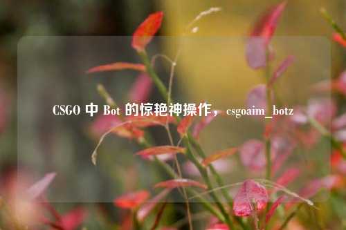CSGO 中 Bot 的惊艳神操作，csgoaim_botz