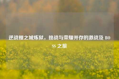 逆战樱之城炼狱，挑战与荣耀并存的激战及 BOSS 之旅