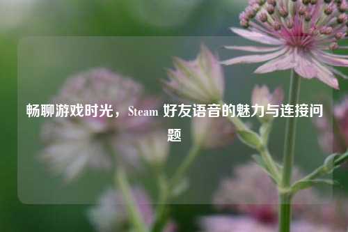 畅聊游戏时光，Steam 好友语音的魅力与连接问题