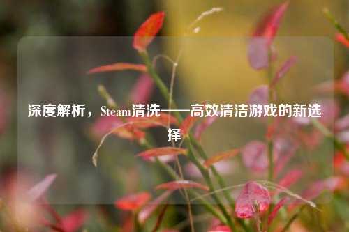 深度解析，Steam清洗——高效清洁游戏的新选择