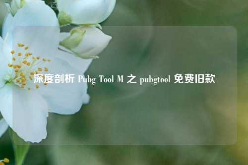 深度剖析 Pubg Tool M 之 pubgtool 免费旧款