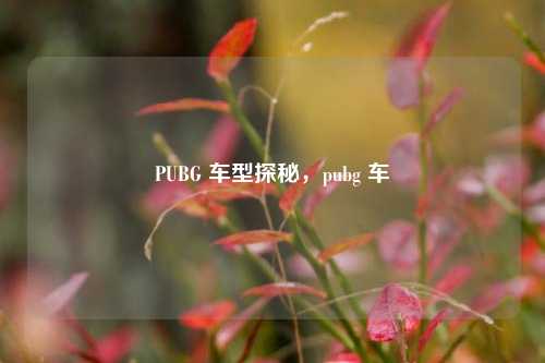 PUBG 车型探秘，pubg 车