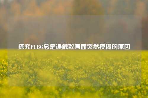 探究PUBG总是误触致画面突然模糊的原因