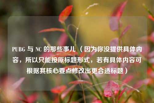 PUBG 与 NC 的那些事儿 (因为你没提供具体内容,所以只能按原标题形式,若有具体内容可根据其核心要点修改出更合适标题)