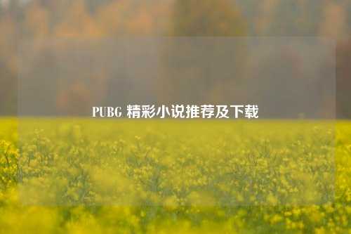 PUBG 精彩小说推荐及下载