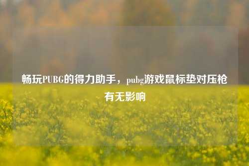 畅玩PUBG的得力助手,pubg游戏鼠标垫对压枪有无影响