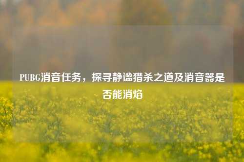 PUBG消音任务,探寻静谧猎杀之道及消音器是否能消焰