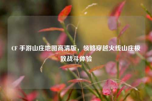 CF 手游山庄地图高清版,领略穿越火线山庄极致战斗体验