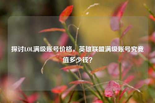 探讨LOL满级账号价格,英雄联盟满级账号究竟值多少钱?