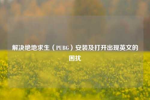 解决绝地求生(PUBG)安装及打开出现英文的困扰