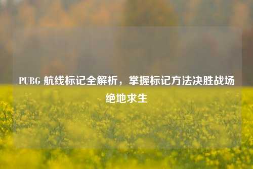 PUBG 航线标记全解析,掌握标记 决胜战场绝地求生
