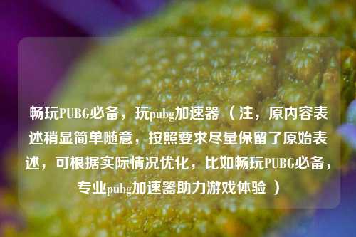 畅玩PUBG必备,玩pubg加速器 (注,原内容表述稍显简单随意,按照要求尽量保留了原始表述,可根据实际情况优化,比如畅玩PUBG必备,专业pubg加速器助力游戏体验 )