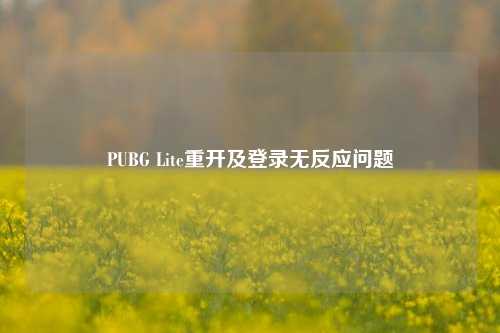 PUBG Lite重开及登录无反应问题