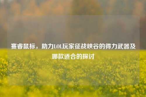 赛睿鼠标,助力LOL玩家征战峡谷的得力武器及哪款适合的探讨