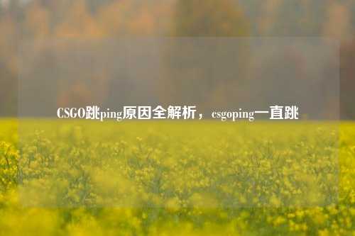 CSGO跳ping原因全解析,csgoping一直跳