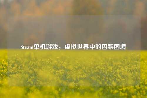 Steam单机游戏,虚拟世界中的囚禁困境