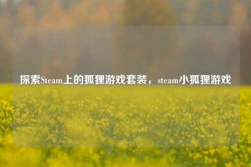 探索Steam上的狐狸游戏套装,steam小狐狸游戏