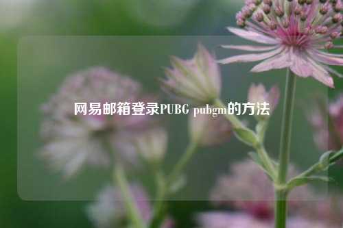 网易邮箱登录PUBG pubgm的