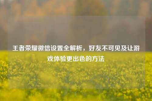 王者荣耀微信设置全解析,好友不可见及让游戏体验更出色的