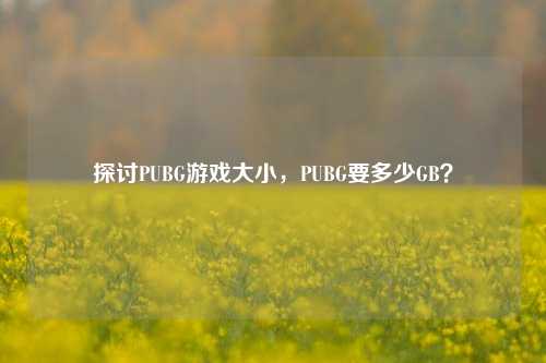 探讨PUBG游戏大小,PUBG要多少GB?