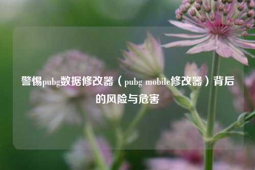 警惕pubg数据修改器(pubg mobile修改器)背后的风险与危害
