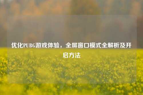 优化PUBG游戏体验,全屏窗口模式全解析及开启