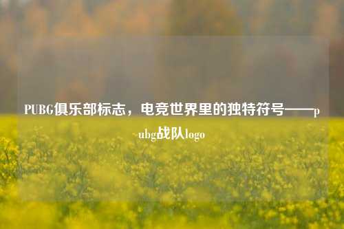 PUBG俱乐部标志,电竞世界里的独特符号——pubg战队logo