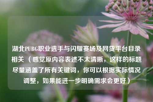 湖北PUBG职业选手与闪耀赛场及网贷平台目录相关 (感觉原内容表述不太清晰,这样的标题尽量涵盖了所有关键词,你可以根据实际情况调整,如果能进一步明确需求会更好)