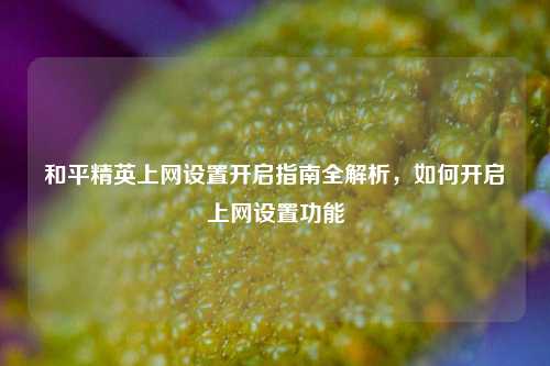 和平精英上网设置开启指南全解析,如何开启上网设置功能