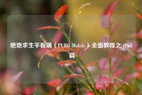 绝地求生平板端(PUBG Mobile)全面教程之 iPad 篇