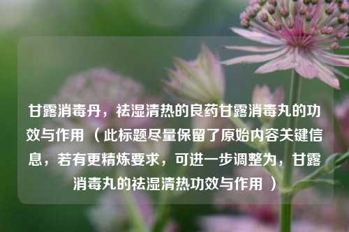 甘露消毒丹,祛湿清热的良药甘露消毒丸的功效与作用 (此标题尽量保留了原始内容关键信息,若有更精炼要求,可进一步调整为,甘露消毒丸的祛湿清热功效与作用 )