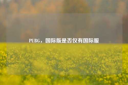 PUBG,国际版是否仅有国际服