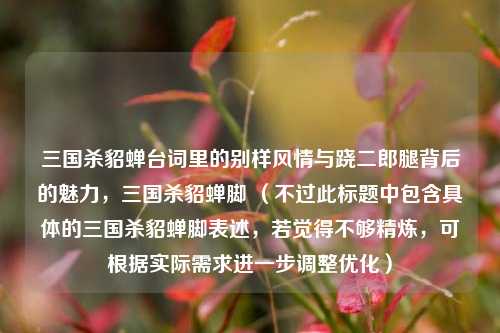 三国杀貂蝉台词里的别样风情与跷二郎腿背后的魅力,三国杀貂蝉脚 (不过此标题中包含具体的三国杀貂蝉脚表述,若觉得不够精炼,可根据实际需求进一步调整优化)