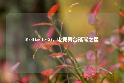 MadLion CSGO,电竞舞台璀璨之星