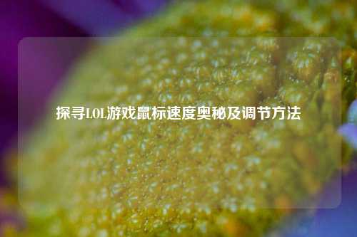 探寻LOL游戏鼠标速度奥秘及调节