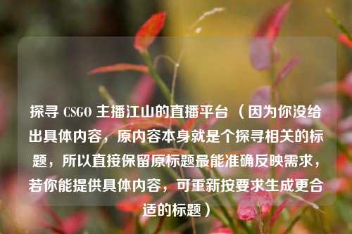 探寻 CSGO 主播江山的直播平台 (因为你没给出具体内容,原内容本身就是个探寻相关的标题,所以直接保留原标题最能准确反映需求,若你能提供具体内容,可重新按要求生成更合适的标题)