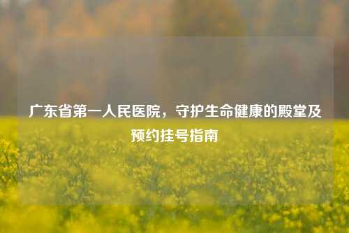 广东省之一人民医院，守护生命健康的殿堂及预约挂号指南