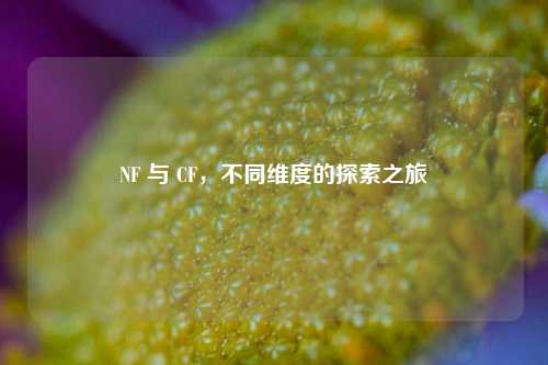 NF 与 CF,不同维度的探索之旅