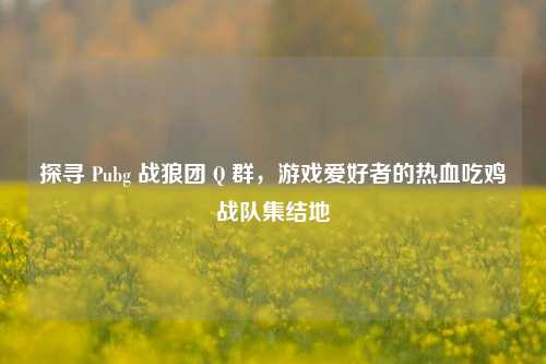 探寻 Pubg 战狼团 Q 群,游戏爱好者的热血吃鸡战队集结地