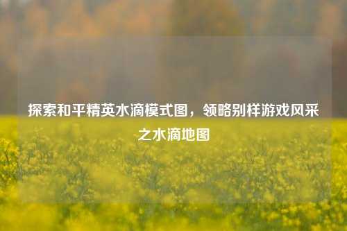 探索和平精英水滴模式图,领略别样游戏风采之水滴地图