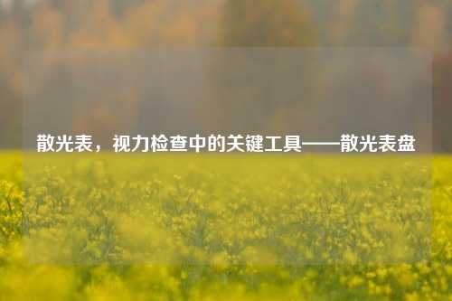 散光表,视力检查中的关键工具——散光表盘