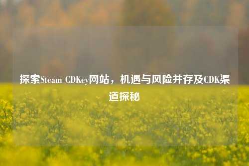 探索Steam CDKey网站,机遇与风险并存及CDK渠道探秘