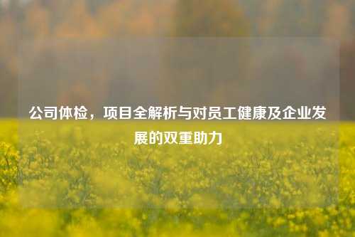 公司体检，项目全解析与对员工健康及企业发展的双重助力