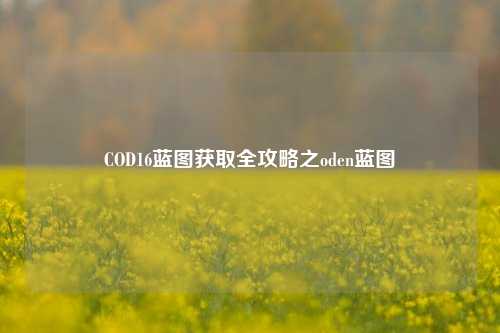 COD16蓝图获取全攻略之oden蓝图