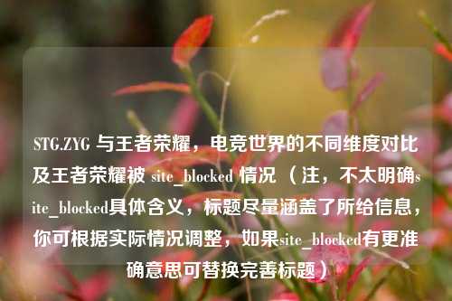 STG.ZYG 与王者荣耀，电竞世界的不同维度对比及王者荣耀被 site_blocked 情况 （注，不太明确site_blocked具体含义，标题尽量涵盖了所给信息，你可根据实际情况调整，如果site_blocked有更准确意思可替换完善标题）